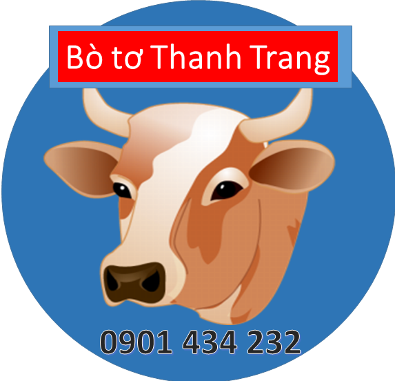 Bò tơ Thanh Trang - Địa điểm cung cấp thịt bò tươi, ngon, chất lượng tại Tp. HCM